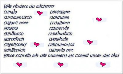 honey_14 - Bild 3