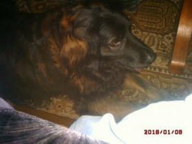 flo_sunray-fm - Bild 2