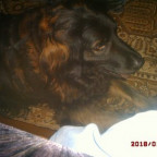 flo_sunray-fm - Bild 2