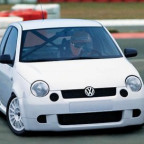 LupiLiina - Bild 4