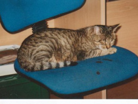 elisabethvrh - Bild 3