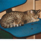 elisabethvrh - Bild 3