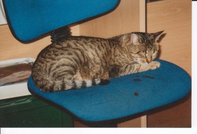 elisabethvrh - Bild 3