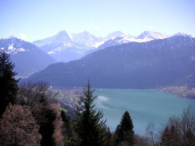 Flavia - Bild 4