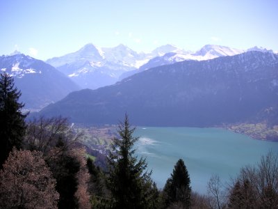 Flavia - Bild 4