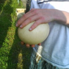 j.a.h - Bild 4