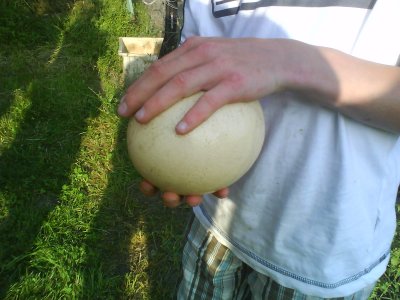 j.a.h - Bild 4