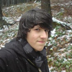 Palm - Bild 1