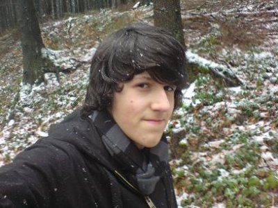 Palm - Bild 1