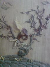 fahimeh - Bild 4