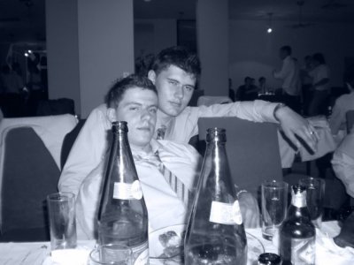 tule - Bild 2