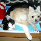 djadja - Bild 6