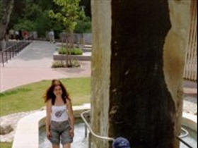Irinita - Bild 8