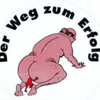 dextro - Bild 2