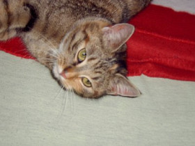 DeLuXeBuNnY - Bild 6