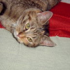 DeLuXeBuNnY - Bild 6