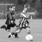 Karlnapf - Bild 3