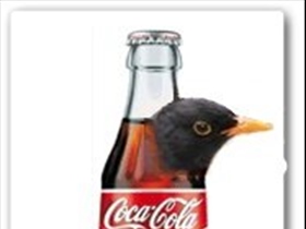 Colamsel - Bild 5