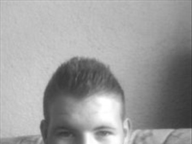 STEVO - Bild 2