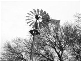 NetZwerg - Bild 1