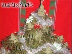 AntiFa_m - Bild 4