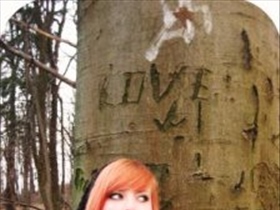 ellebelle - Bild 2