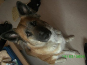 SINA_xD - Bild 11