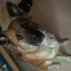 SINA_xD - Bild 11