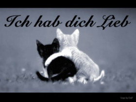 mausi1994 - Bild 2