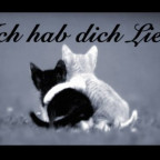 mausi1994 - Bild 2