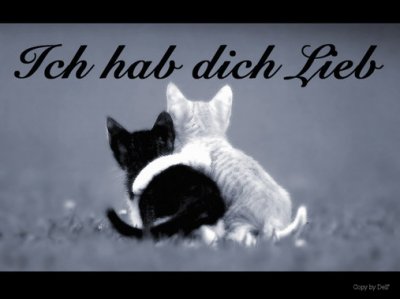 mausi1994 - Bild 2