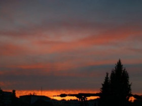Hasenase - Bild 6
