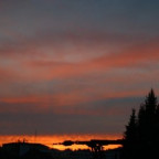 Hasenase - Bild 6