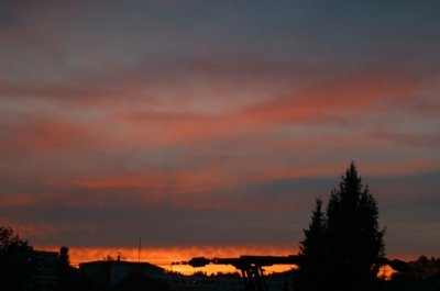 Hasenase - Bild 6