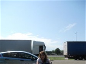 Flieder - Bild 1