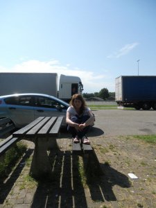 Flieder - Bild 1
