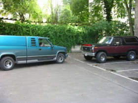 bronco_lady - Bild 2