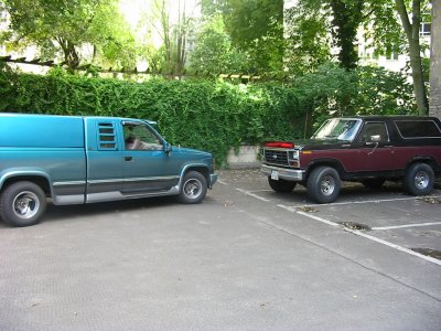 bronco_lady - Bild 2