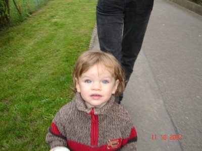 oracelcrash - Bild 5
