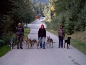 OKK - Bild 5