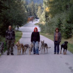 OKK - Bild 5