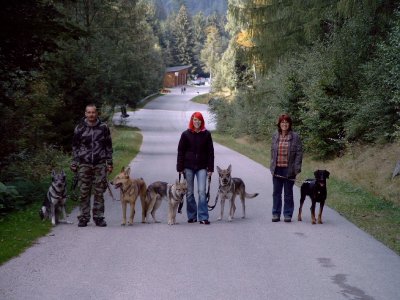 OKK - Bild 5