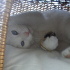 mybill - Bild 5