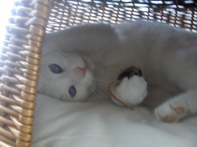 mybill - Bild 5