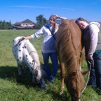 bec - Bild 4