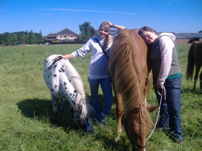 bec - Bild 4