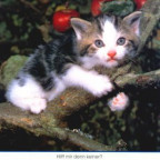 DieKleine - Bild 5