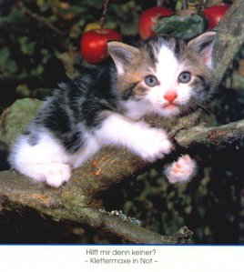 DieKleine - Bild 5