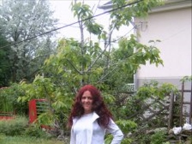 repipipi - Bild 2