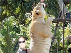 ChrissmitBiss - Bild 8